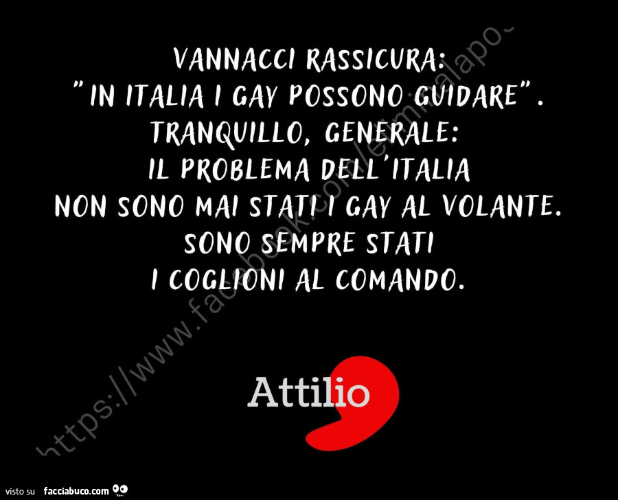 Vannacci rassicura: in italia i gay possono guidare