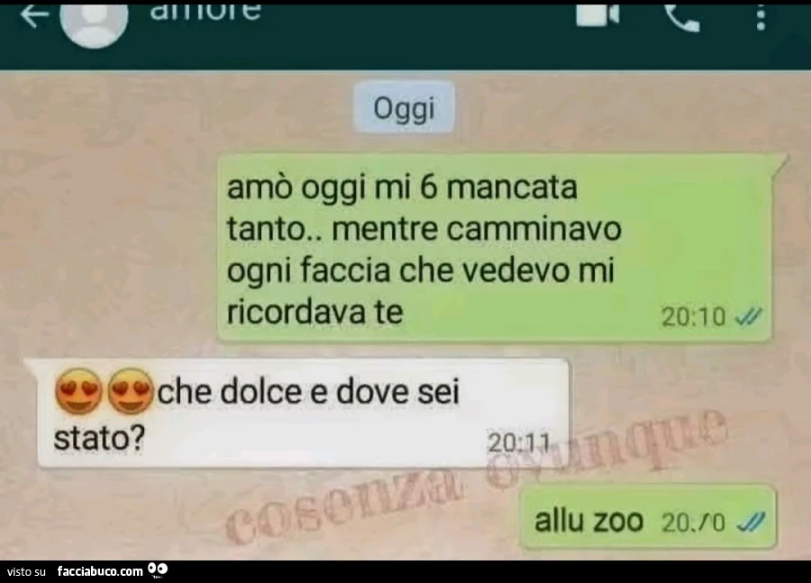 Vaccata