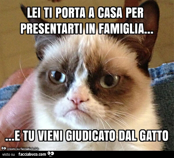 Lei ti porta a casa per presentarti in famiglia&hellip; e tu vieni giudicato dal gatto