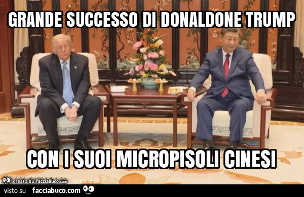 Grande successo di donaldone trump con i suoi micropisoli cinesi