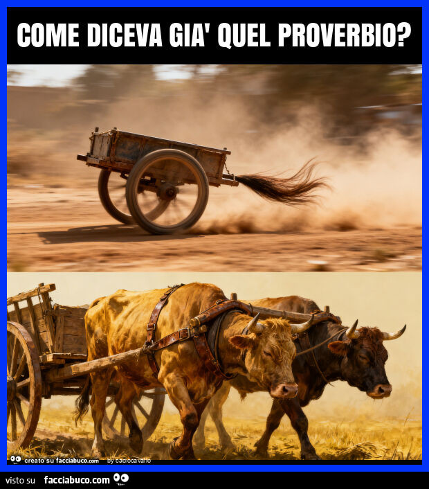 Come diceva già quel proverbio?