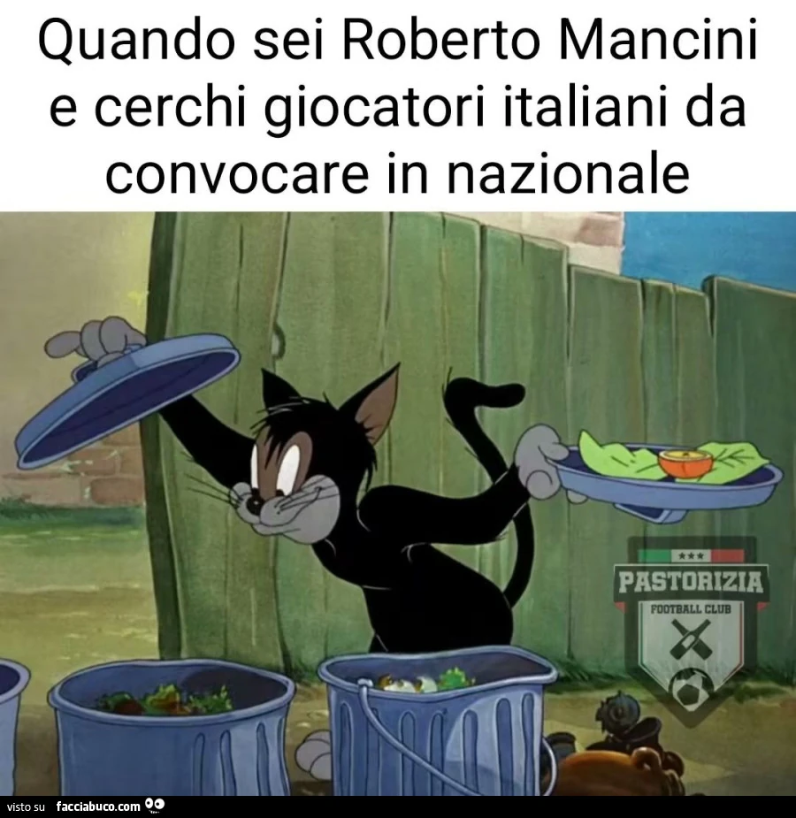 Vaccata