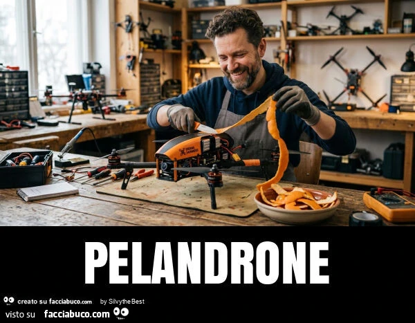 Pelandrone