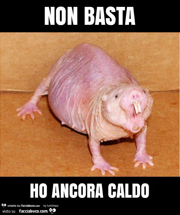 Non basta ho ancora caldo