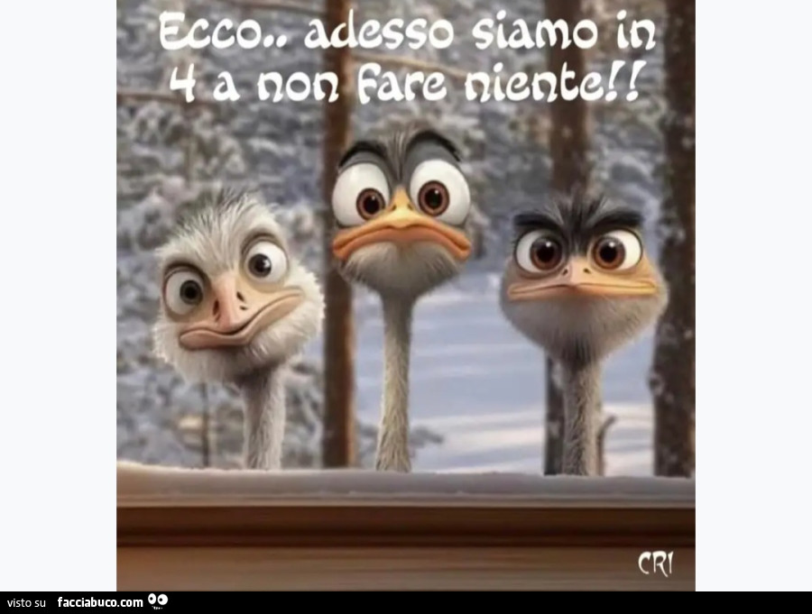 Voglia di fare