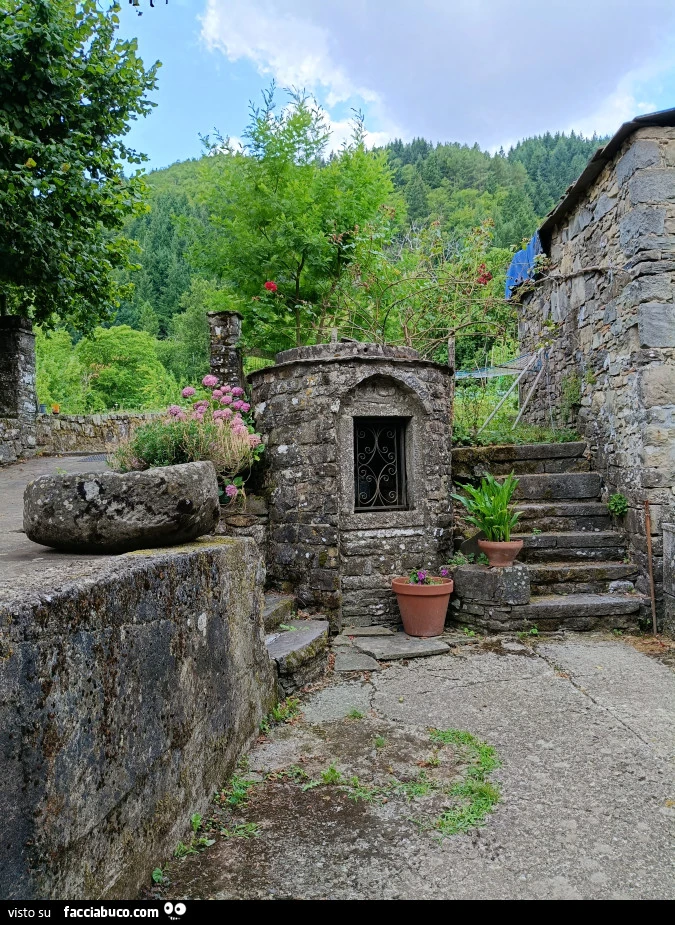Vaccata