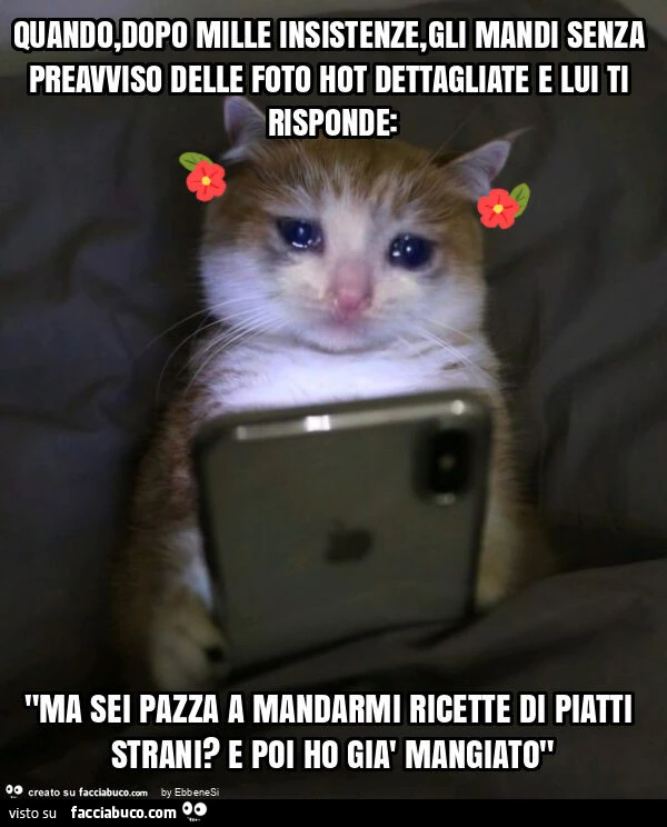 Quando, dopo mille insistenze, gli mandi senza preavviso delle foto hot dettagliate e lui ti risponde: "ma sei pazza a mandarmi ricette di piatti strani? E poi ho già mangiato"