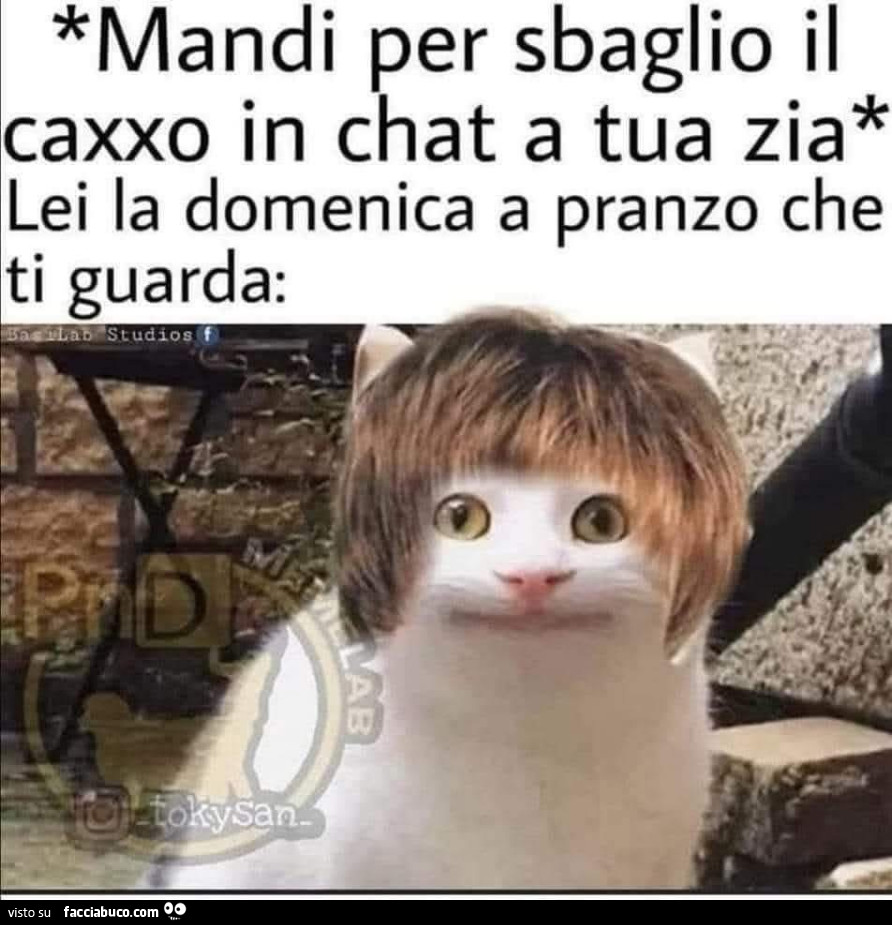 Vaccata