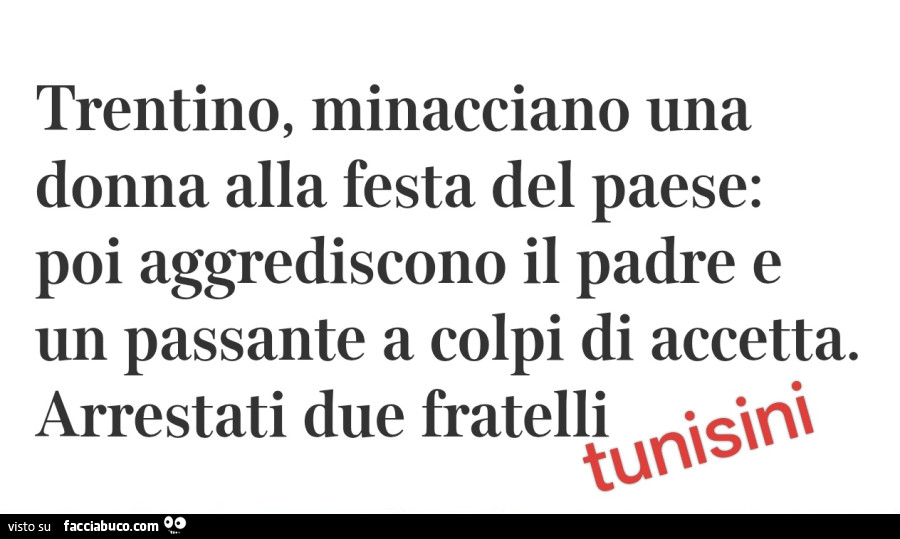 Trentino, minacciano una donna alla festa del paese: poi aggrediscono il padre e un passante a colpi di accetta. Arrestati due fratelli