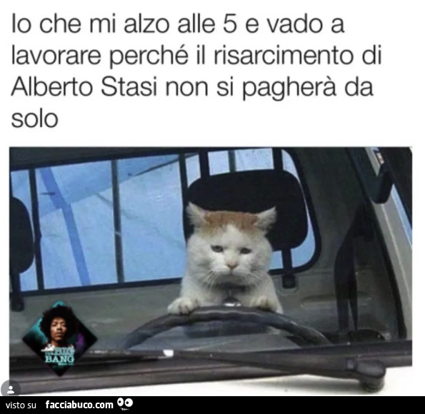 Vaccata