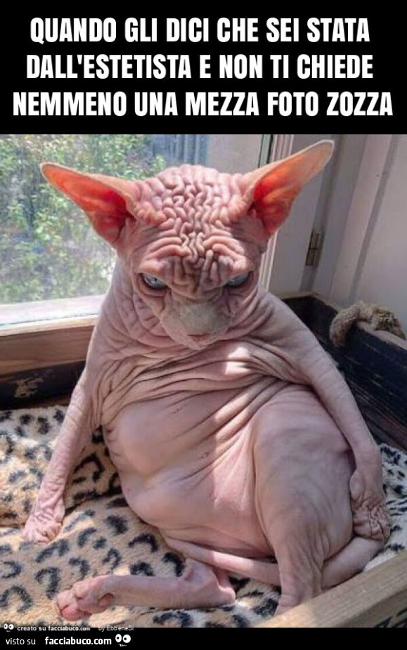 Quando gli dici che sei stata dall'estetista e non ti chiede nemmeno una mezza foto zozza