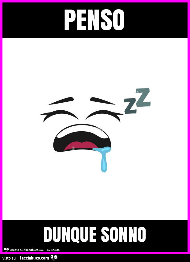 Penso dunque sonno