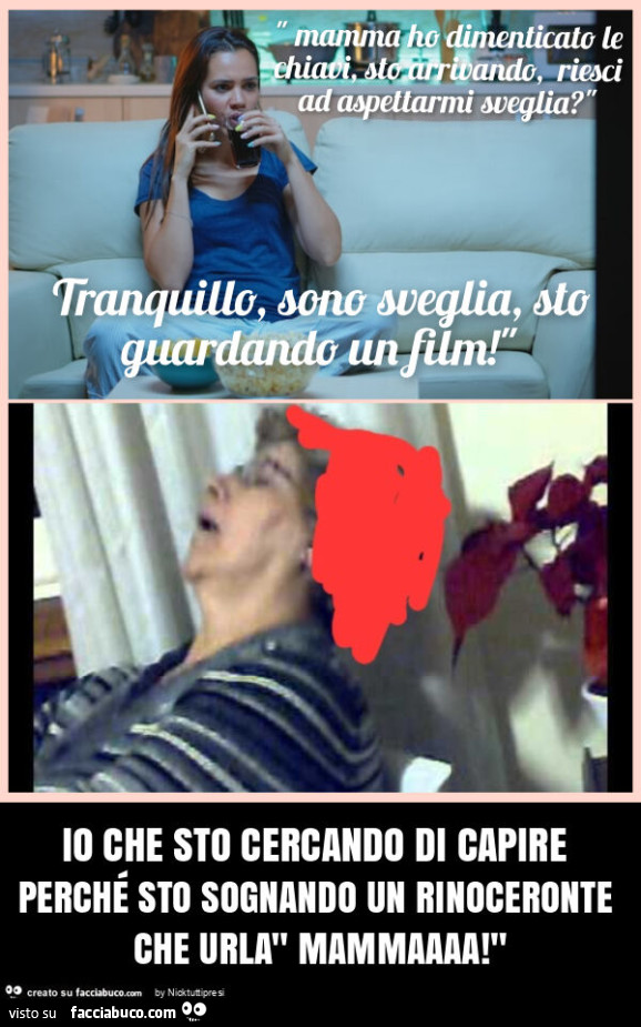 Io che sto cercando di capire perchรฉ sto sognando un rinoceronte che urla" mammaaaa! "