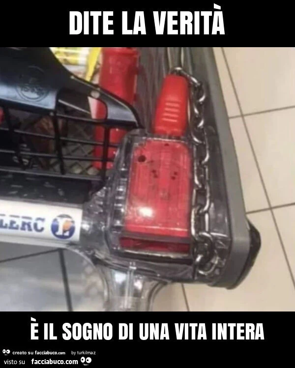 Dite la verità è il sogno di una vita intera