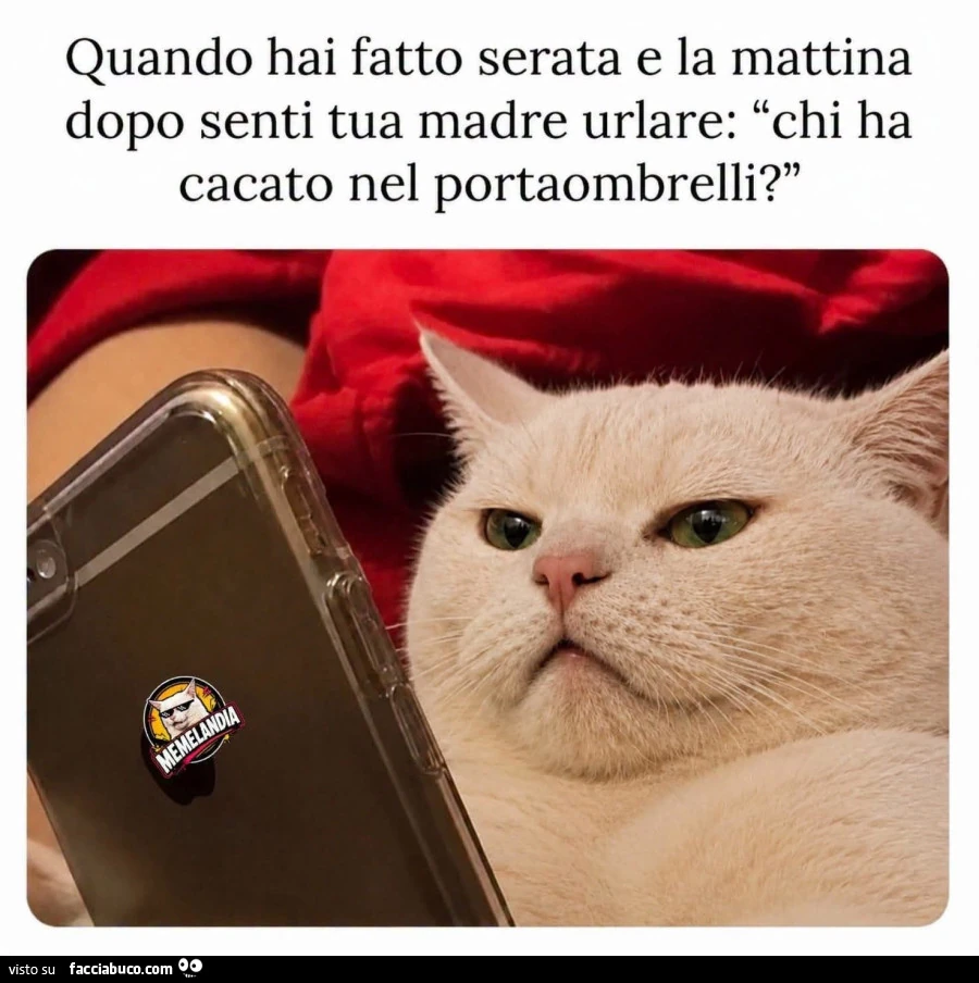 Vaccata