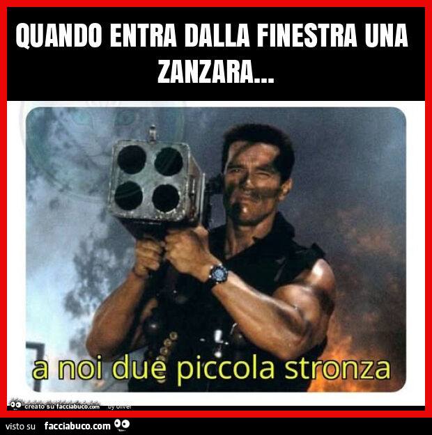 Quando entra dalla finestra una zanzara