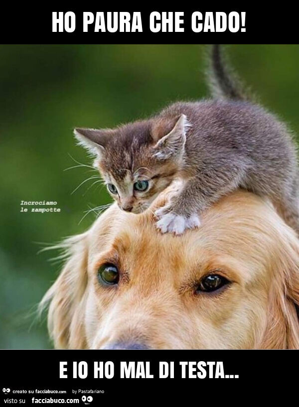 Ho paura che cado! E io ho mal di testa