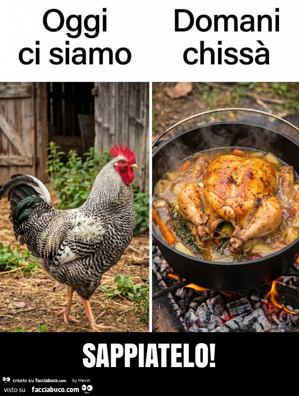 Sappiatelo