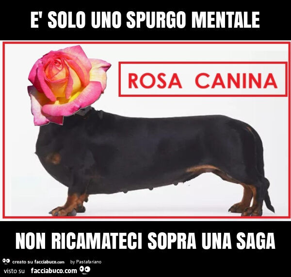 È solo uno spurgo mentale non ricamateci sopra una saga