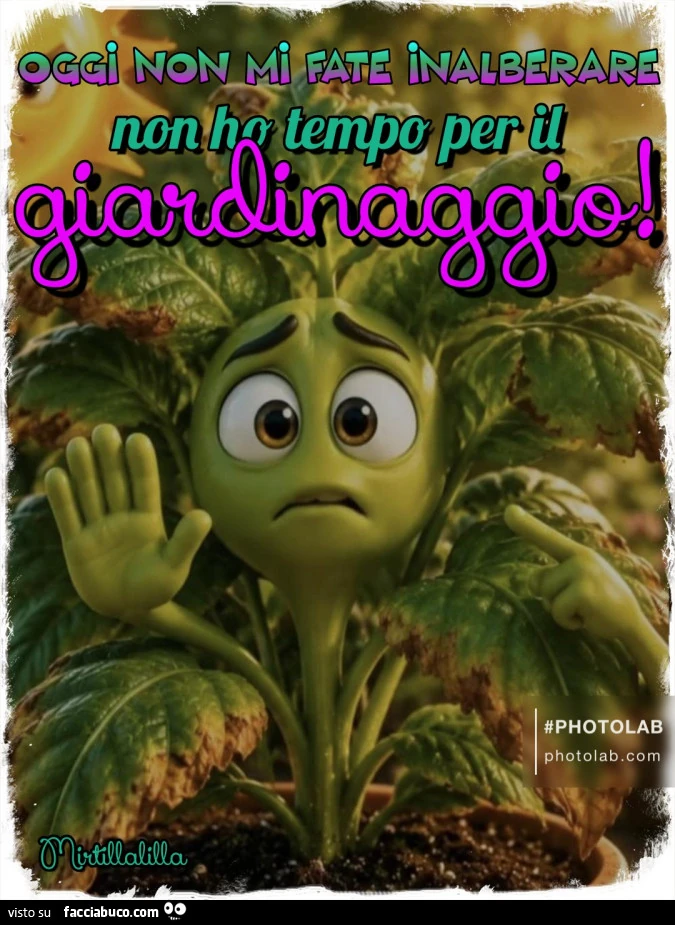Giardinaggio