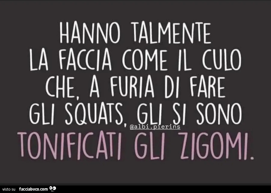 Hanno talmente la faccia come il culo che a furia di fare gli squats gli si sono tonificati gli zigomi