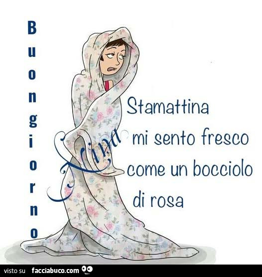 Buongiorno. Stamattina mi sento fresco come un bocciolo di rosa