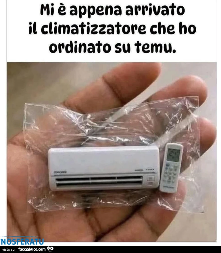 Le bellissime truffe di Temu