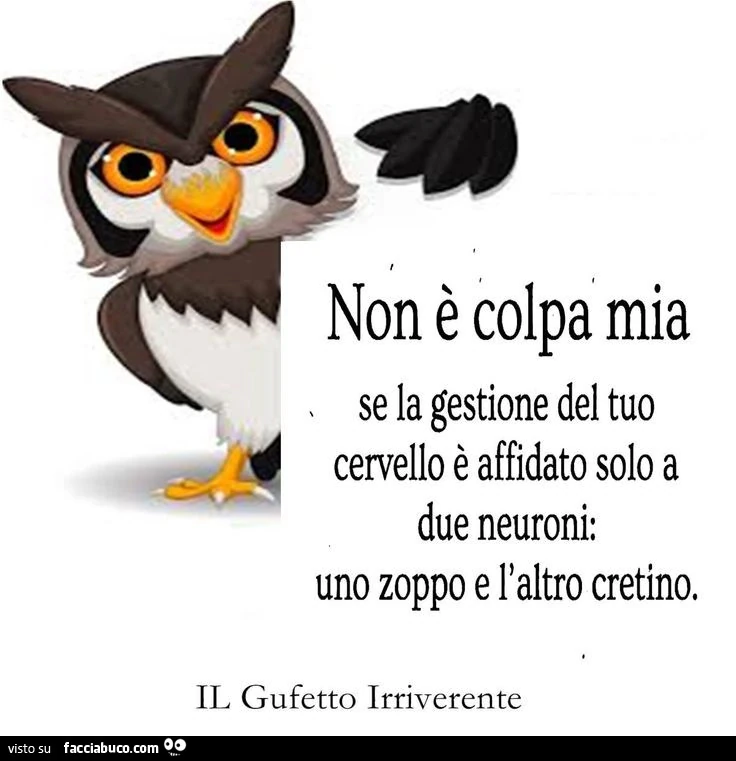 Non è colpa mia se la gestione del tuo cervello è affidato solo a due neuroni: uno zoppo e l'altro cretino