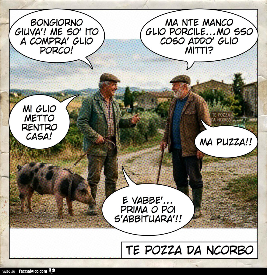 Vaccata