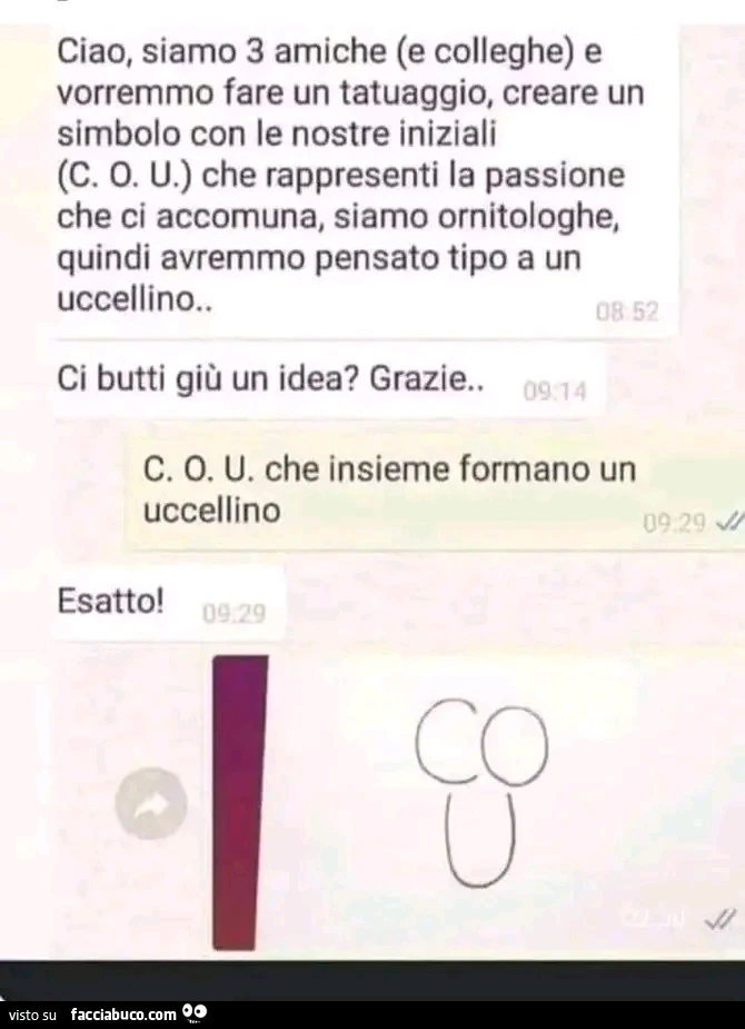 Vaccata