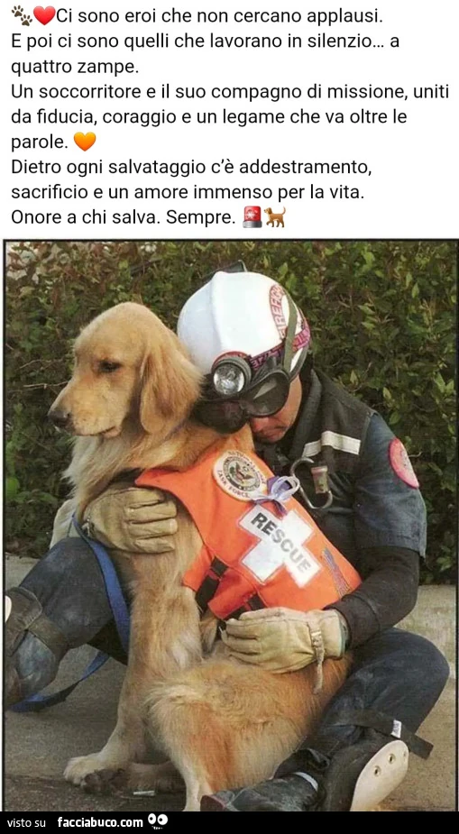 Eroi silenziosi