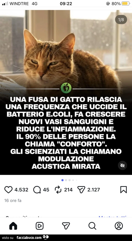 Vaccata