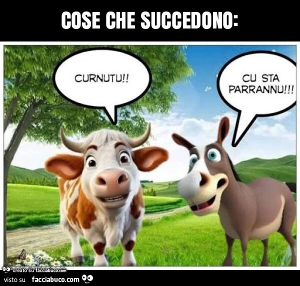 Cose che succedono