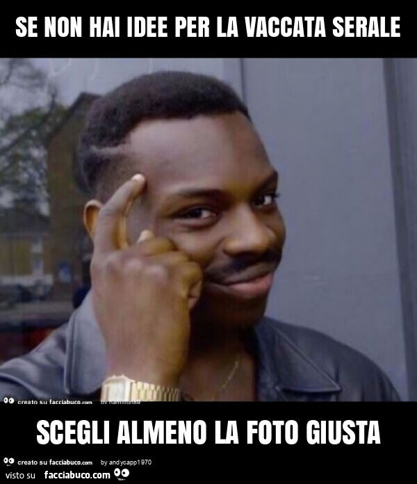 Se non hai idee per la vaccata serale scegli almeno la foto giusta