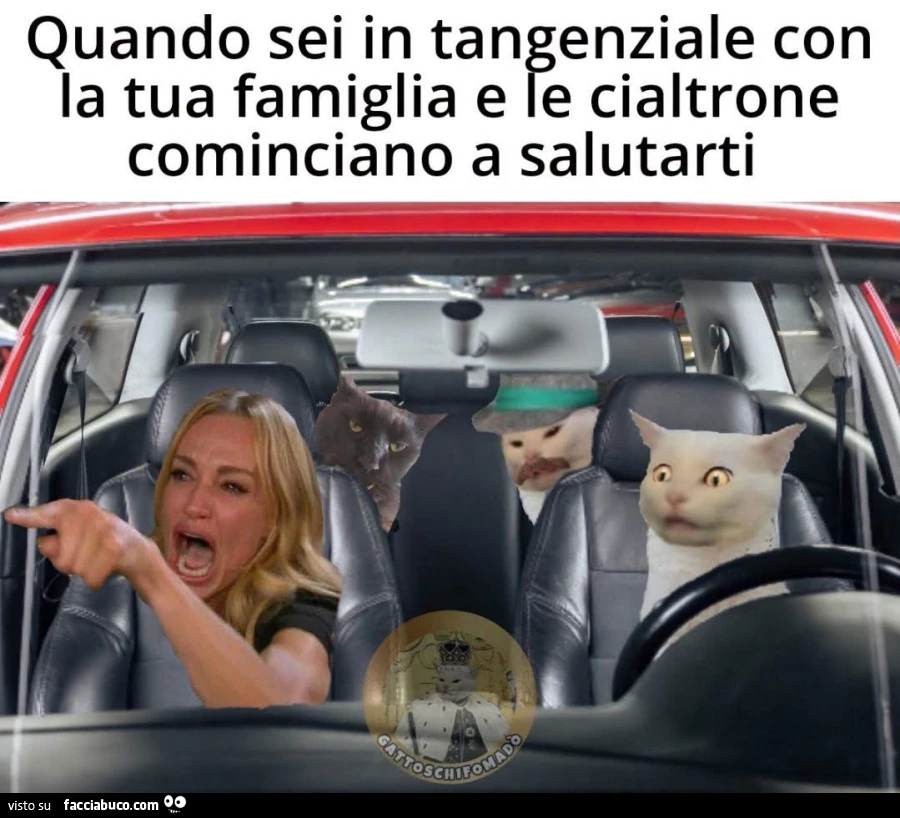 Vaccata