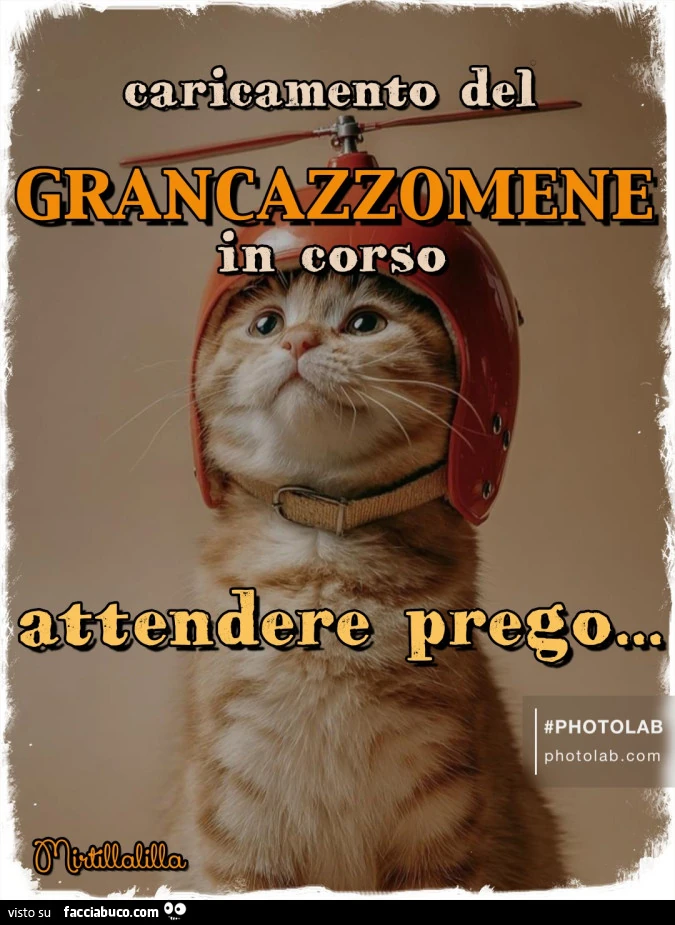 Caricamento in corso