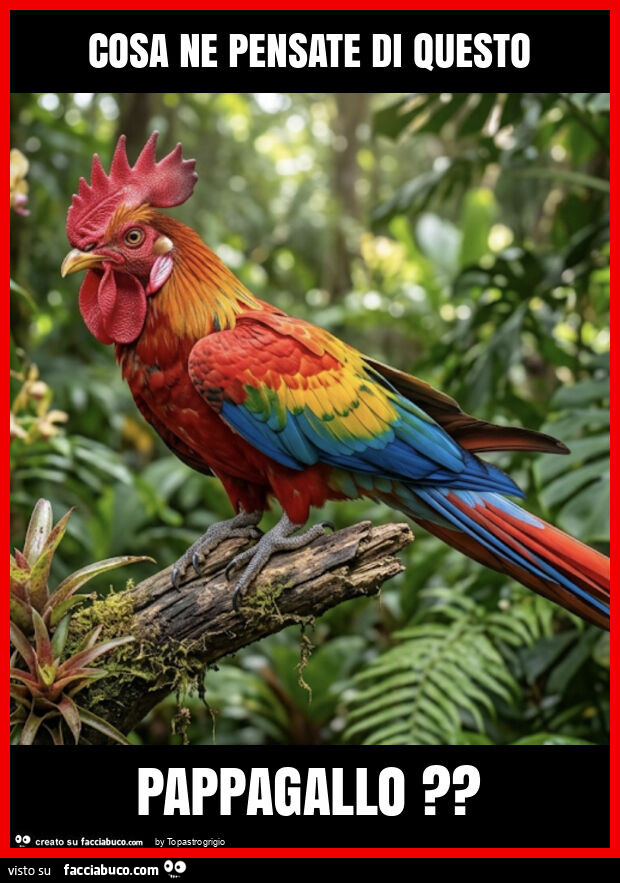 Cosa ne pensate di questo pappagallo?