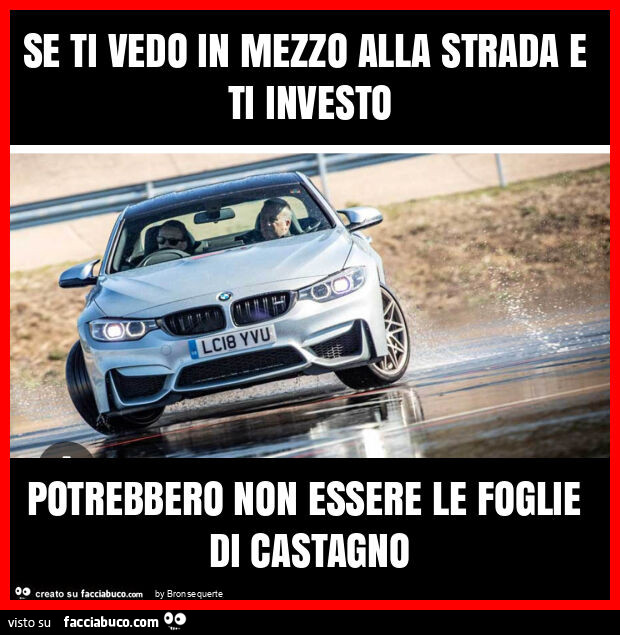 Se ti vedo in mezzo alla strada e ti investo potrebbero non essere le foglie di castagno