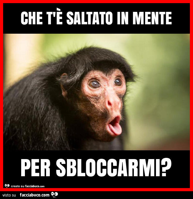 Che t'è saltato in mente per sbloccarmi?