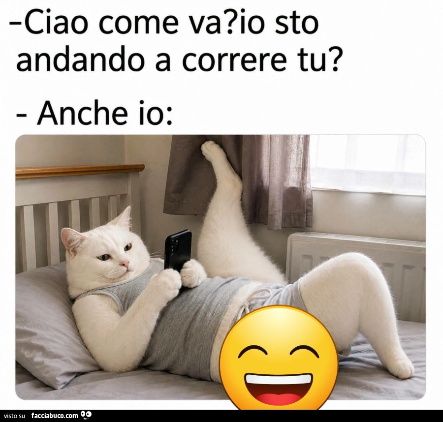 Vaccata