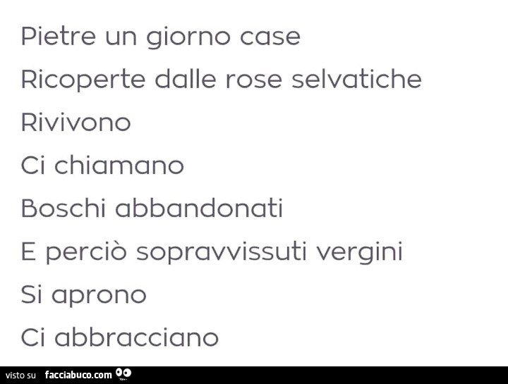 Pietre un giorno case ricoperte dalle rose selvatiche rivivono ci chiamano boschi abbandonati e perciò sopravvissuti vergini si aprono ci abbracciano