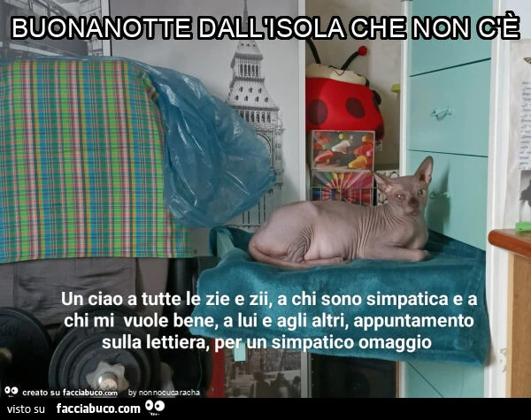 Buonanotte dall'isola che non c'è