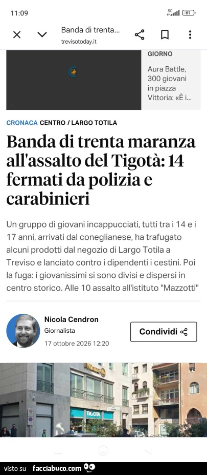 Vaccata