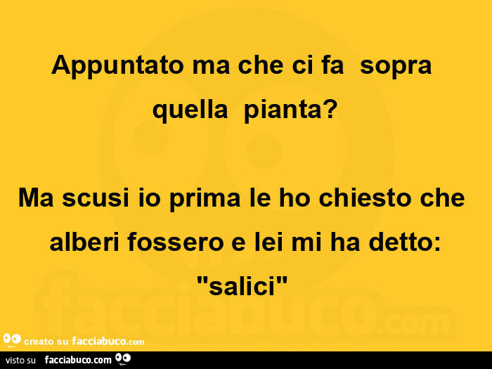 Appuntato ma che ci fa  sopra quella  pianta? Ma scusi io prima le ho chiesto che alberi fossero e lei mi ha detto: "salici" 