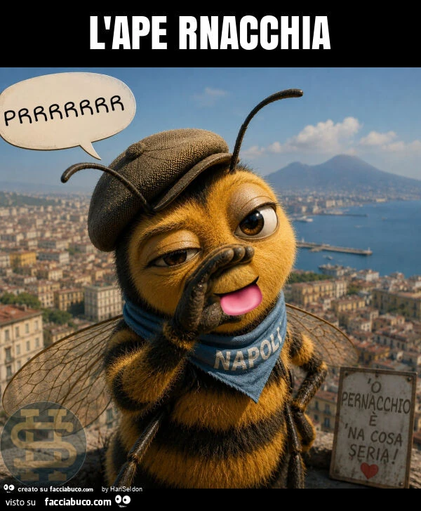 L'ape rnacchia