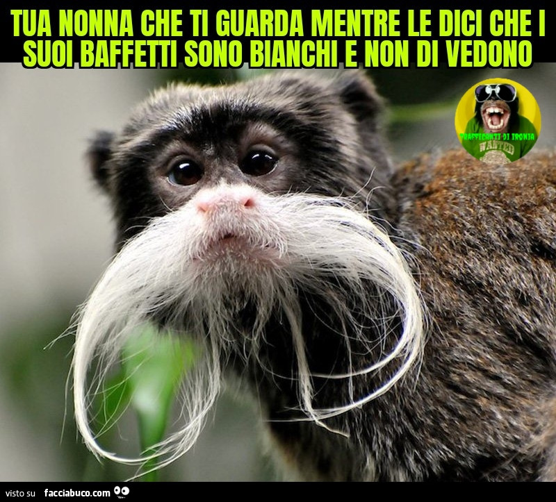 Tua nonna che ti guarda mentre le dici che i suoi baffetti sono bianchi