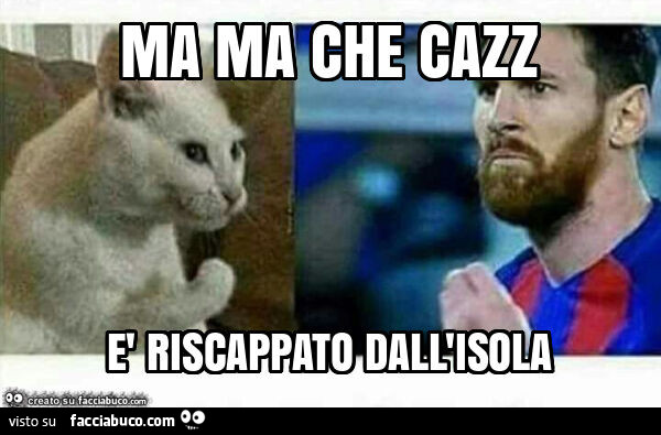 Vaccata