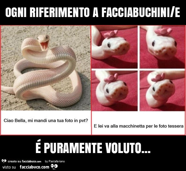 Ogni riferimento a facciabuchini/e รฉ puramente voluto