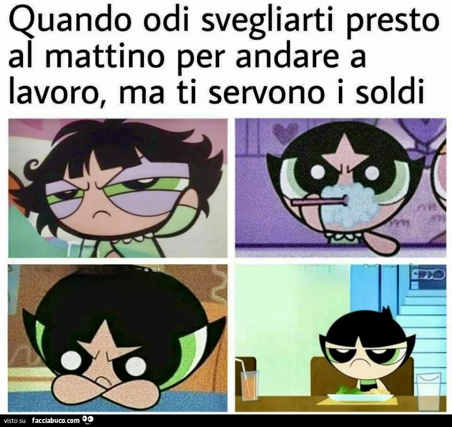 Vaccata
