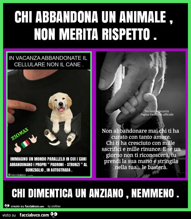 Chi abbandona un animale, non merita rispetto. Chi dimentica un anziano, nemmeno